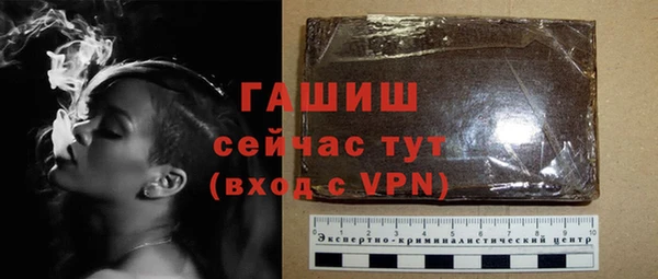 хмурый Абаза