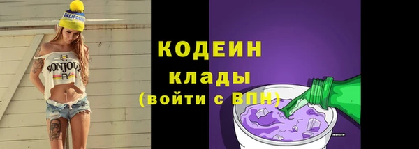 хмурый Абаза