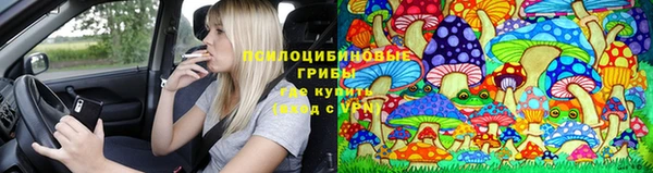 таблы Алексеевка