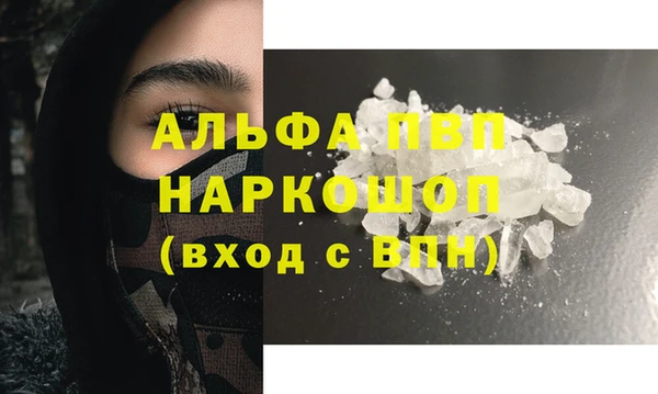 хмурый Абаза