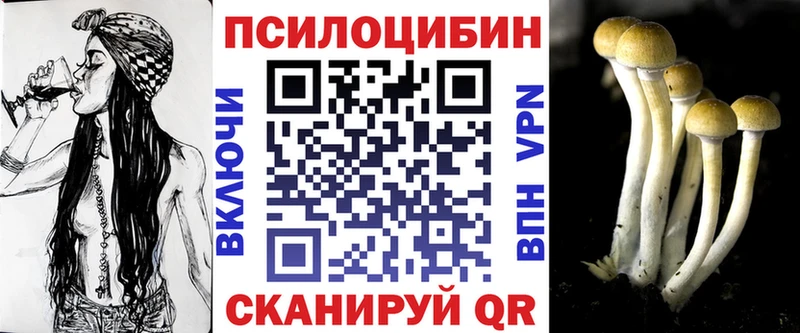 Галлюциногенные грибы Psilocybe  Звенигород 
